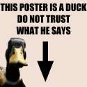 Duck Poster.png