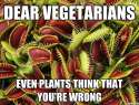 dear-vegetarians.jpg