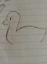 a duck.png