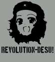 REVOLUTION_DESU_by_TotalJUAN.png