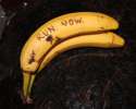 banana-warning1.jpg