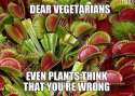 dear vegitarians.jpg