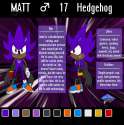 reff_sheet__matt_the_hedgehog_by_o_silverfox_o-d6shfga.png