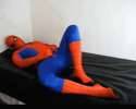 spiderman5.gif