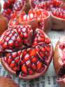pomegranate13.jpg