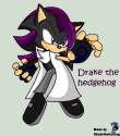 drake_the_hedgehog_by_shadethebathog-d3f2y2m.png