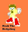 noah_the_hedgehog_by_ractay15-d51op11.jpg