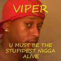 viper-stupidest-nigga-alive.jpg