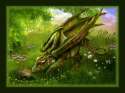 Dragon_Baby_color_by_Ksar.jpg