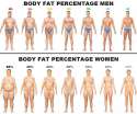 body-fat-percentage-men-women.jpg