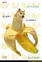 dog-banana.jpg
