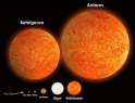 tmp_31499-46-betelgeuse-vs-sun-909988695.jpg
