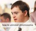 1_uninstalled_chromosome.png