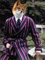 Foxy Gentleman.png