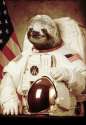 sloth_going_for_space.jpg