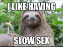 slow_sex_sloth.jpg
