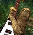 sloth_rocking_out.jpg