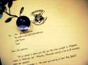 hogwarts-acceptance-letter-harry-potter-22774927-500-375.jpg