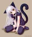 cute-anime-cat-catgirls-27758992-429-500.jpg