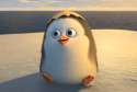 BABY-PRIVATE-penguins-of-madagascar-37412623-1054-716.png