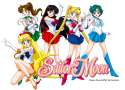sailor-moon-and-scoutes.jpg