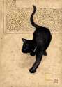 BAd064-bug art-blank cat card-black cat.jpg