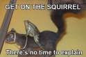 Get on the Squirrel.jpg