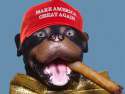 VICTORY-THE-TRUMP-SUPPORT-DOG.jpg