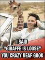 Giraffe is Loose.jpg