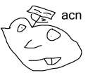 acn.png
