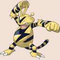 250px-125Electabuzz[1].png