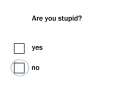 are you stupid?.jpg