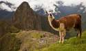 Machu-Picchu-Peru-014.jpg