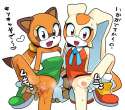 180342 - 2girls bottomless cream_the_rabbit flat_chest furry marine_the_raccoon pussy sonic_the_hedgehog tamagoro.png