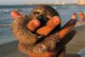 sloth_gos_to_the_beach.jpg