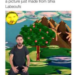 a picture just made from Shia Labeoufs.jpg