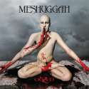 Meshuggah - obZen.jpg