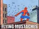 FLYING MUSTACHES.png