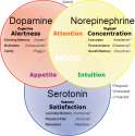 NorepinephrineDopamineSerotonin.png