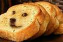Doge_Bread_6.jpg