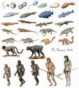 339830-evolution-evolution-of-humans-3.jpg