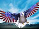 american eagle.jpg