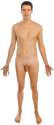 Naked_human_male_body_front_anterior.png