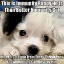 Immunity Puppy.jpg