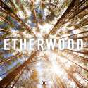 Etherwood-good.jpg