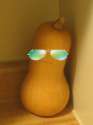 Chill Gourd.png