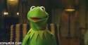 17071_the-muppets-kermit-the-frog.gif
