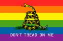 Gadsden_rainbow_flag_insert_by_Benjamin_Sapiens.jpg