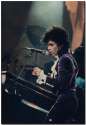 prince-photo-in-concert-piano.png