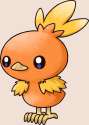 255Torchic_Pokemon_Mystery_Dungeon_Red_and_Blue_Rescue_Teams.png